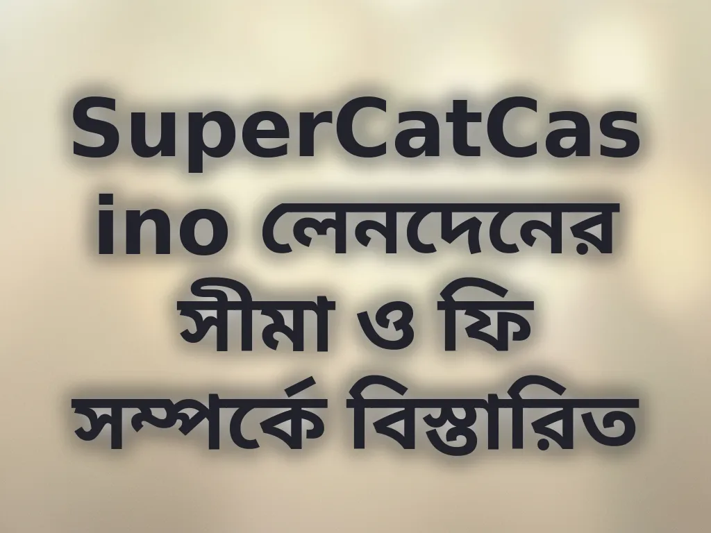 লেনদেনের সীমা